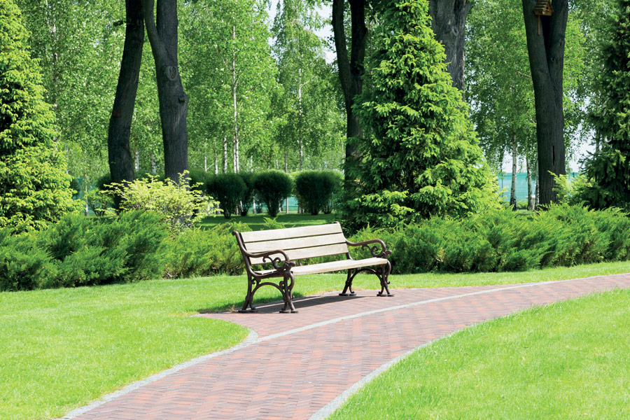 Entretenir et aménager des chemins piétonniers équipés correctement (Banc, poubelle, éclairage écologique…)